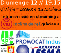 Viu l'ascens al bàsquet femení