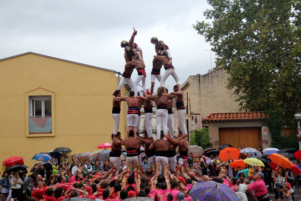 Resultat d'imatges de matossers